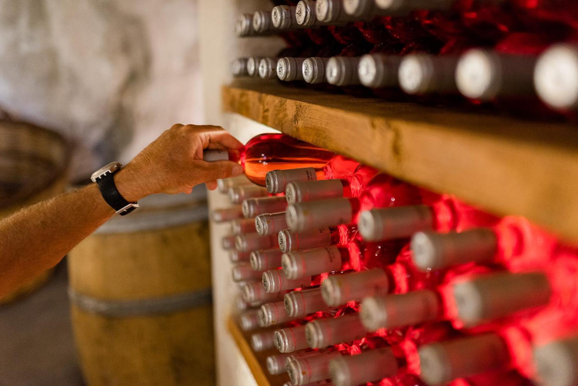 ポロニア Kostantakis Winery Estateゲストハウス エクステリア 写真