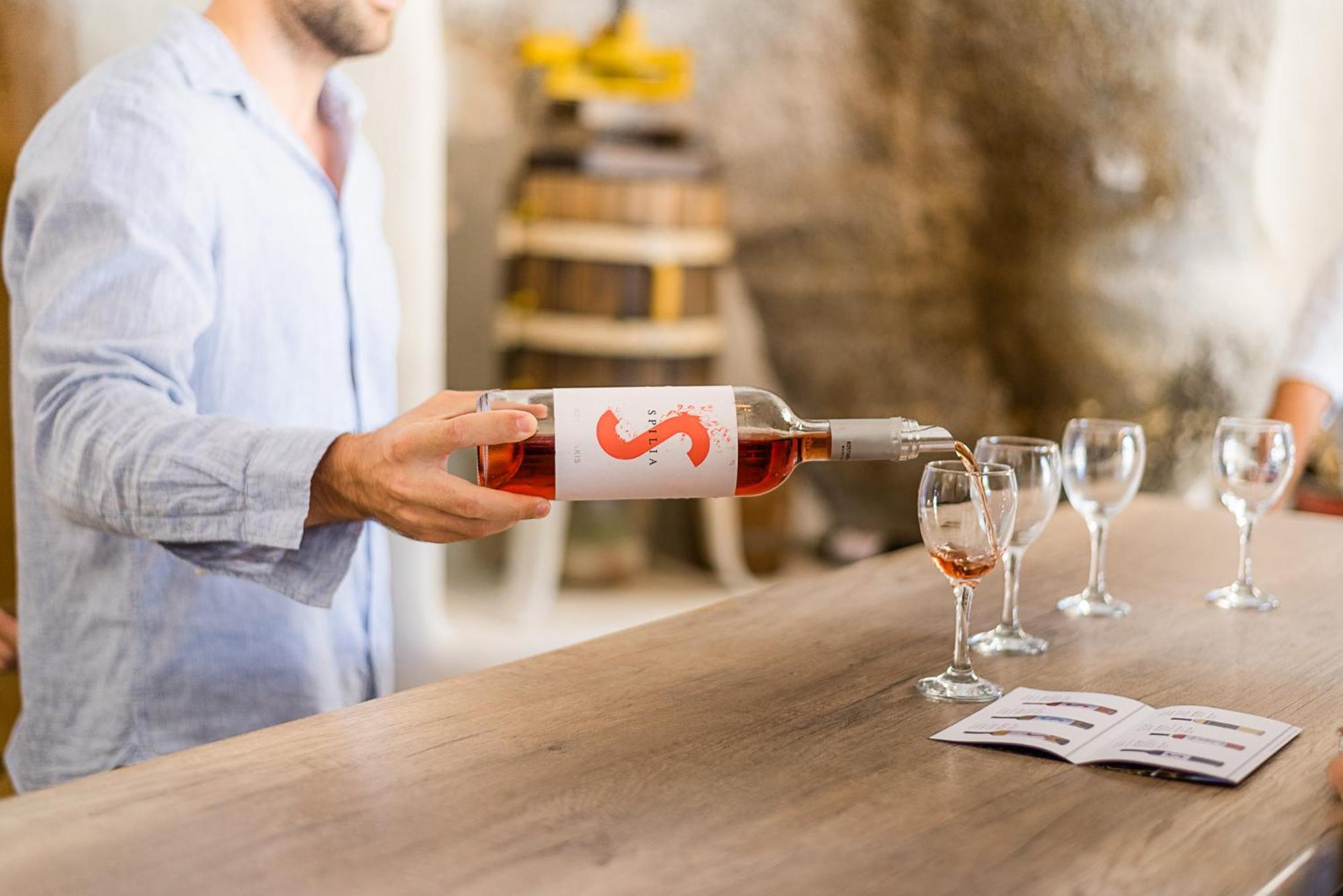 ポロニア Kostantakis Winery Estateゲストハウス エクステリア 写真